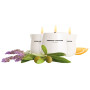MASSAGE CANDLE FLAVOUR OF ANDALUCÍA /OLIVE