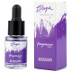 FRAGRANCE NAILS OIL BLOSSOM