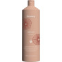 ARGAN SHAMPOO 2X