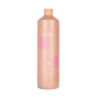 DISCIPLINE SHAMPOO (2+1)