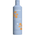 HYDRATING SHAMPOO 2X
