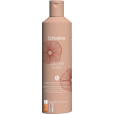 ARGAN TOP SET