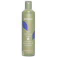 NO YELLOW SHAMPOO (2X)