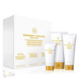 SET ROYAL JELLY PRO SALON