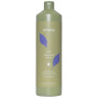 NO YELLOW SHAMPOO