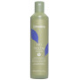 NO YELLOW SHAMPOO